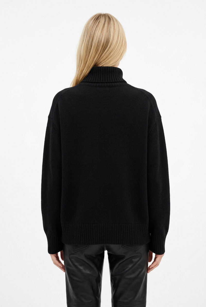 Pull Lipy col roulé TU