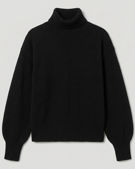 Pull Lipy col roulé TU