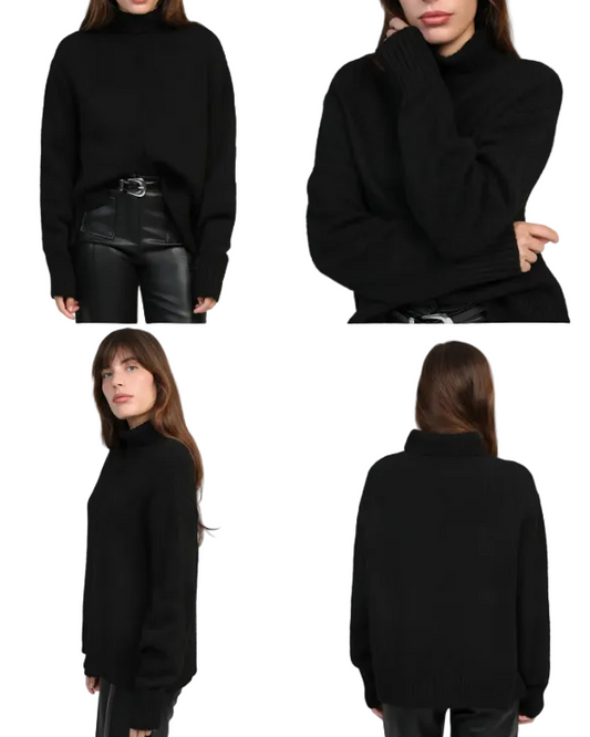 Pull Lipy col roulé  TU