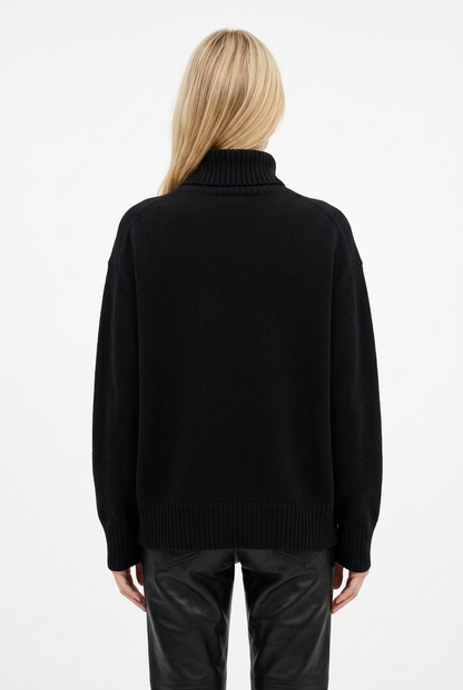 Pull Lipy col roulé TU